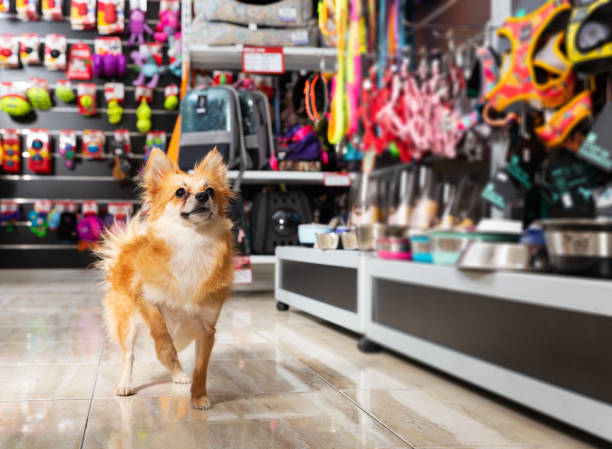 A Day in the Life of a Pet Shop Owner Using Biashara Books Point of Sales Software